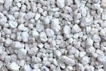 bentonite clay cat litter