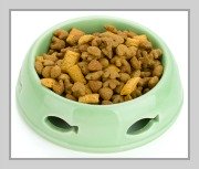 dry cat food