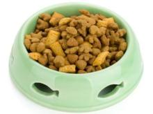 dry cat food