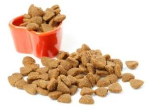 cat food kibbles