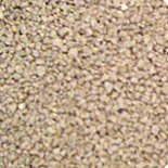 granular corn cat litter